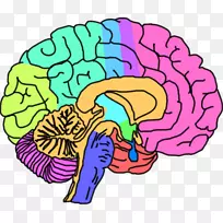 大脑心理健康精神障碍剪辑艺术-大脑