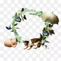 睡眠呼吸暂停