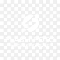 南悉尼兔，野兔，威林加海雕，悉尼公鸡。乔治·伊拉沃拉龙新西兰勇士-电子邮件