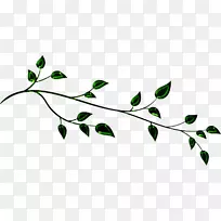 嫩枝绿色植物茎叶剪贴画
