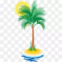 槟榔科椰子树