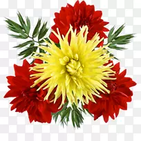 切花菊花剪艺术-花