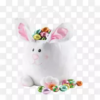 家用兔子复活节兔子毛绒玩具和可爱的玩具-兔子
