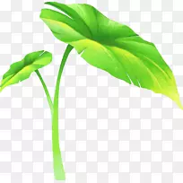 叶莲花效果桌面壁纸