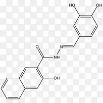 磷酸肌醇3-激酶抑制剂蛋白激酶b受体细胞膜