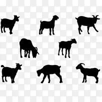 波尔山羊侏儒山羊尼日利亚矮山羊盎格鲁-努比亚山羊剪影