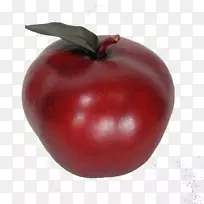 布什番茄巴巴多斯樱桃蔓越莓副果-番茄