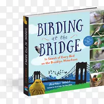 桥边观鸟：寻找布鲁克林滨水区的每一只鸟，观看伟大的佛罗里达观鸟道，如何成为一只城市鸟？