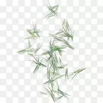 草本植物茎草原