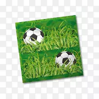 草本植物足球家庭球