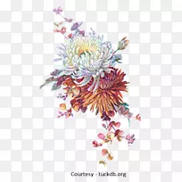 花卉设计秋季纸花艺术-秋季