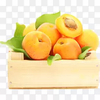 杏果食桃莓杏
