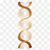 dna核酸计算机图标剪辑艺术