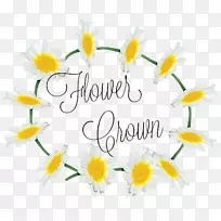 花卉设计切花花瓣字体设计