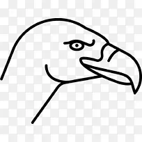 鸟嘴秃鹫电脑图标剪辑艺术鸟