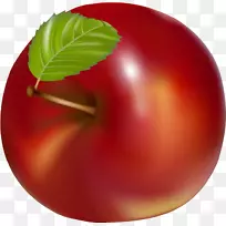 桃子天然食品番茄李桃