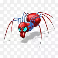 昆虫十足的肌肉剪贴画-蜘蛛网