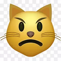 脸上带着喜悦的泪水表情猫iphone-emoji