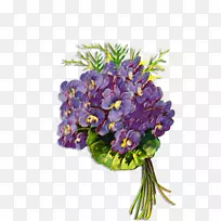 花卉设计花束紫罗兰切花.紫罗兰
