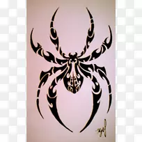 蜘蛛纹身艺术家符号部落-蜘蛛网