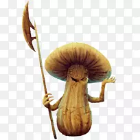 蘑菇有机体-蘑菇