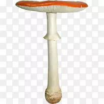 水果下载蔬菜-蘑菇