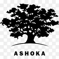 Ashoka：公共创新组织的创新者-企业家-人