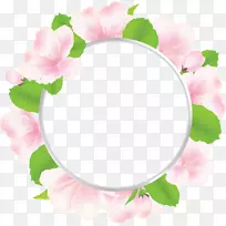 花瓣花卉图案蔷薇科画框玫瑰椭圆形框架