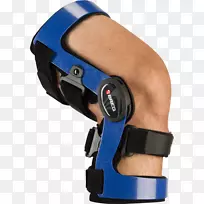 膝关节前交叉韧带矫形术公司后交叉韧带-膝关节