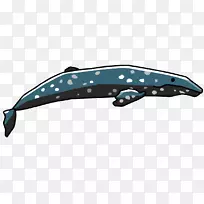 海豚灰鲸海豚剪贴画-海豚
