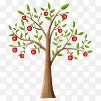 小枝果树苹果剪贴画树