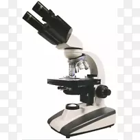 显微镜、阿贝冷凝器、双筒望远镜.显微镜