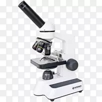 数字显微镜Bresser扫描隧道显微镜光学显微镜