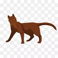 猫儿战士艾琳猎杀最黑暗的时刻星的承诺-猫