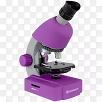 数字显微镜光学显微镜usb显微镜光学显微镜