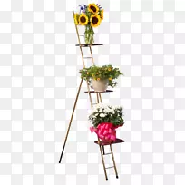 花卉设计切花花盆-花卉