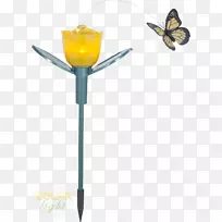 蝴蝶和飞蛾灯具灯2M膜-太阳能