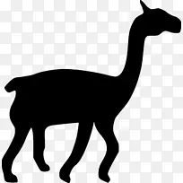 骆驼剪贴画-美洲驼