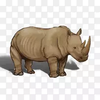 犀牛陆生动物野生动物鼻子