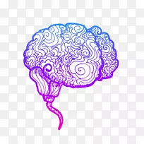 人脑AGY大脑半球大脑皮层感觉-脑