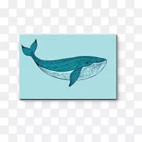 蓝鲸海豚画-蓝鲸