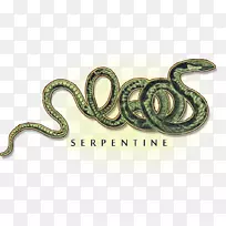蟒蛇、大毒蛇、蛇体珠宝
