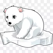 北极熊动物插图剪辑艺术北极熊