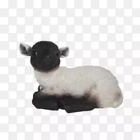牛美利奴艺术装饰农场-羔羊