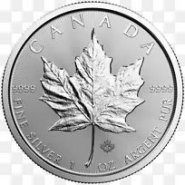 加拿大银枫叶金币加拿大金币