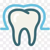 牙釉质牙科-人类牙齿