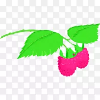 水果红树莓纵横字谜-词
