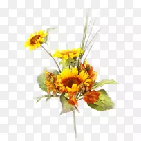 花卉设计黄色普通向日葵切花花束