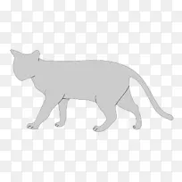波斯猫解剖猫科剪贴画-波斯猫