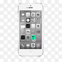 iPhone5c iphone 4s iphone 5s iphone 6s-输入错误